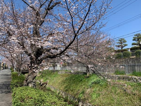 プレミスト京都松ヶ崎