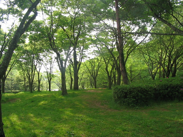 京都市左京区上高野畑町の中古一戸建て(宝が池公園)