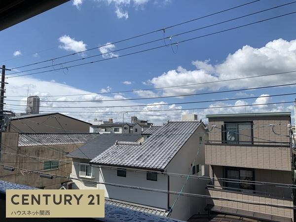 D号地