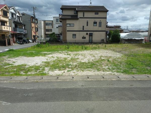 ５号地