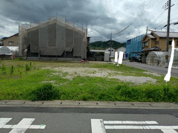 ５号地