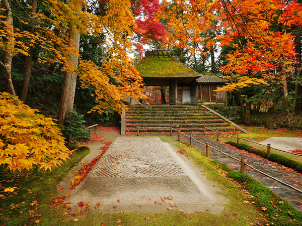 京都市左京区鹿ケ谷西寺ノ前町の中古一戸建て(法然院)