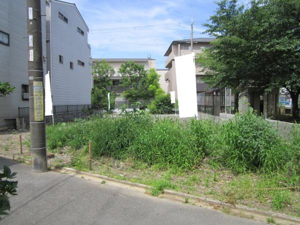 3号地