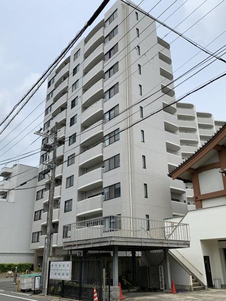 コスモトゥデイ