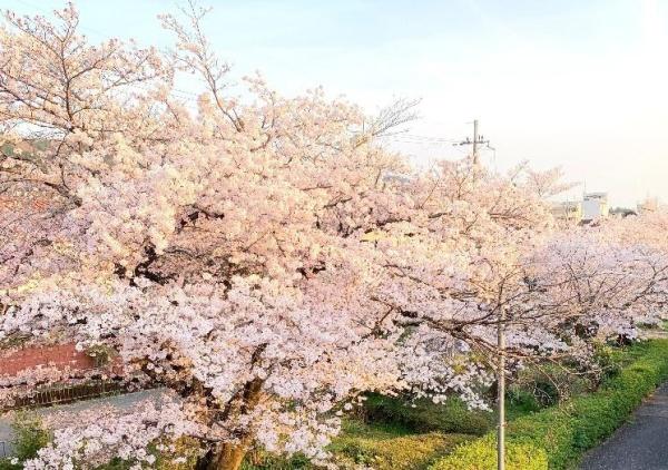 京都市左京区山端柳ケ坪町の中古一戸建て
