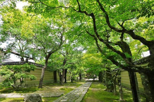 京都市北区紫野南舟岡町の土地(大徳寺)