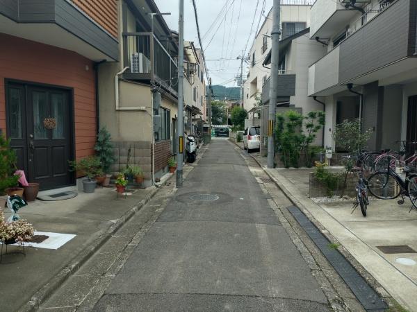 Ｄ号地