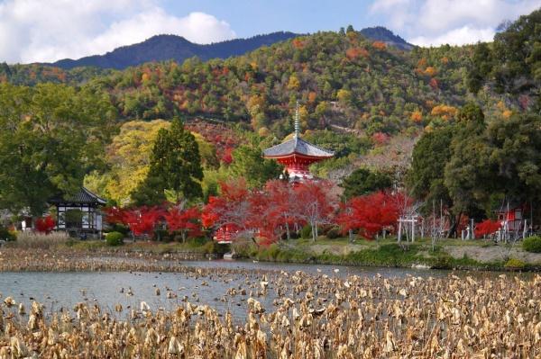 京都市右京区嵯峨広沢西裏町の中古一戸建て(大覚寺)