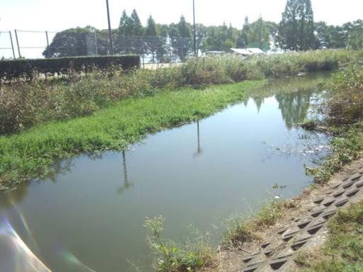 大津市衣川1丁目の土地(天神川緑地)