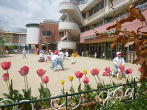 京都市右京区花園藪ノ下町の土地(洛陽幼稚園)