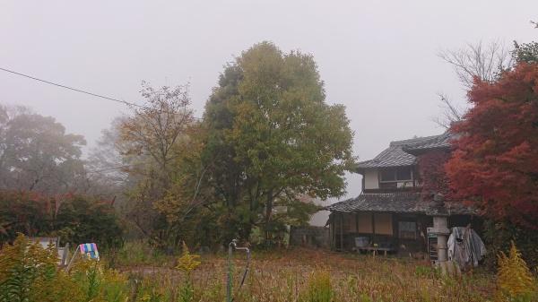 亀岡市保津町観音寺の土地