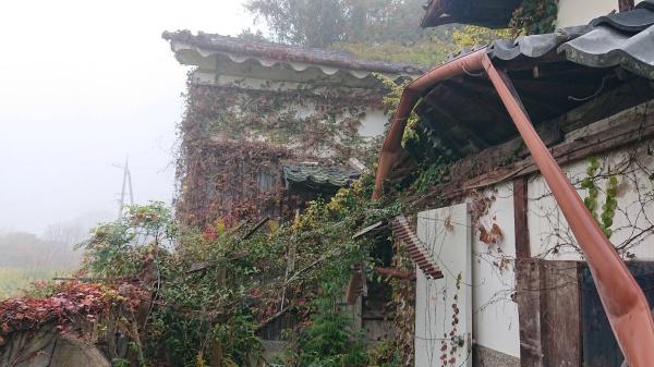 亀岡市保津町観音寺の土地