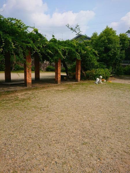 大津市大平２丁目の土地(大平公園)