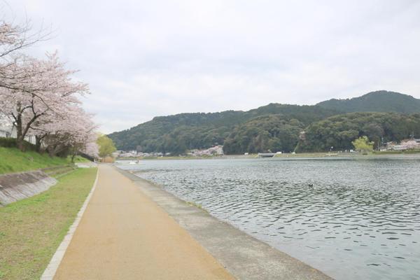 大津市大平２丁目の土地(多羅川緑地)