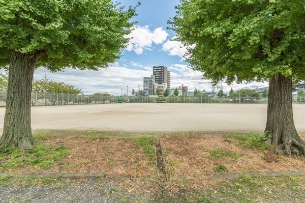 京都市伏見区下鳥羽南円面田町の中古一戸建て(三栖公園)