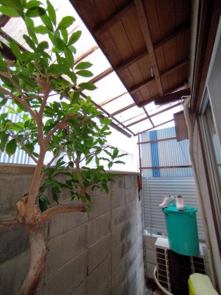 京都市山科区川田御出町の中古一戸建て