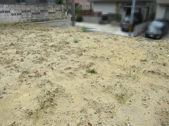京都市伏見区深草大亀谷万帖敷町の土地