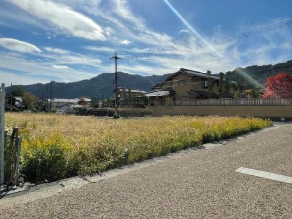 京都市右京区嵯峨釈迦堂藤ノ木町の売土地
