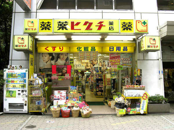 京都市伏見区納所中河原の土地(薬ヒグチ淀店)