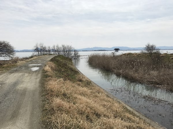 大津市雄琴６丁目の土地(雄琴川緑地)