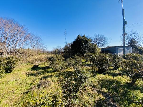 大津市坂本３丁目の土地