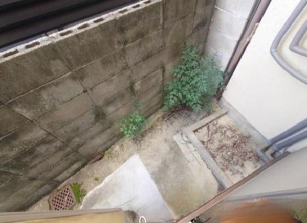 京都市右京区嵯峨野南浦町の中古テラスハウス