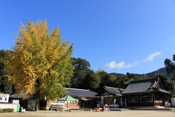 京都市伏見区日野野色町の中古一戸建て(誕生院保育園)