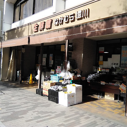 京都市上京区猪熊通元誓願寺下る竪神明町の中古一戸建て(生鮮館なかむら堀川店)