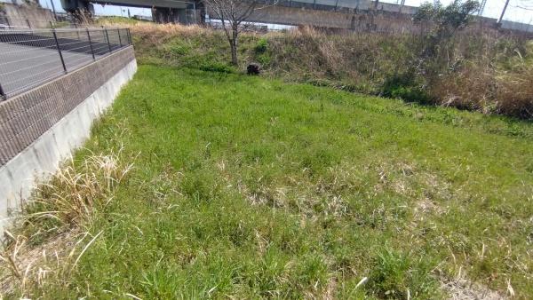大津市和邇今宿の土地