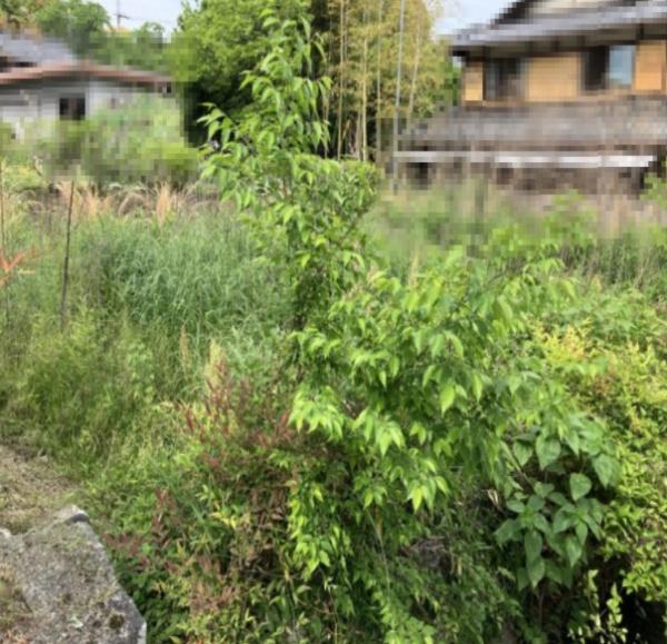 大津市真野大野１丁目の売土地