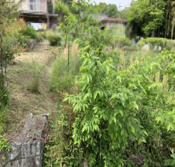 大津市真野大野１丁目の土地