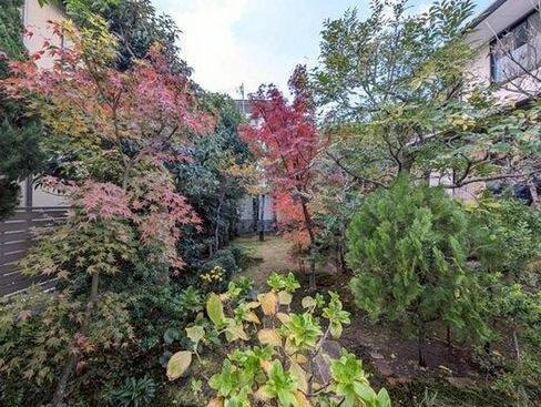 京都市右京区花園天授ケ岡町の中古一戸建て