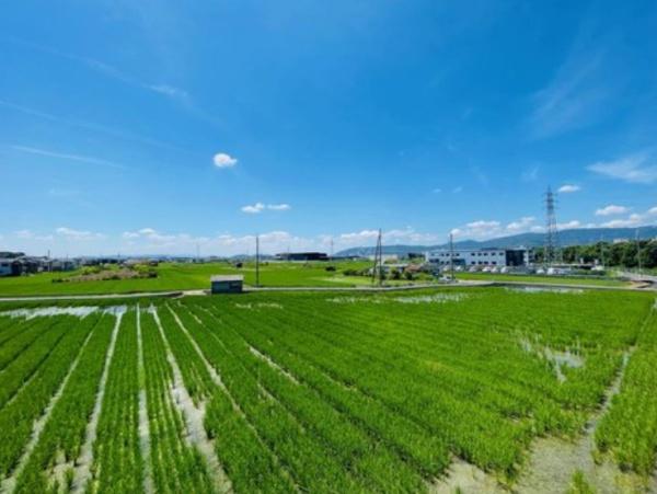 京都市伏見区久我本町の中古一戸建て