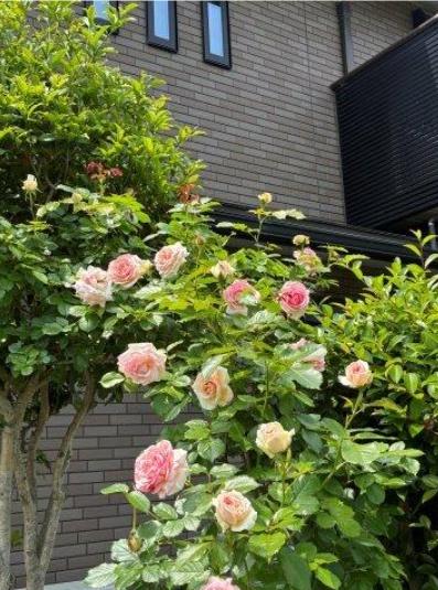 大津市和邇高城の中古一戸建て