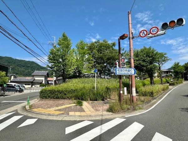 京都市西京区大枝北沓掛町６丁目の土地