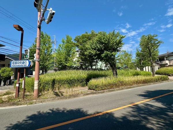 京都市西京区大枝北沓掛町６丁目の土地