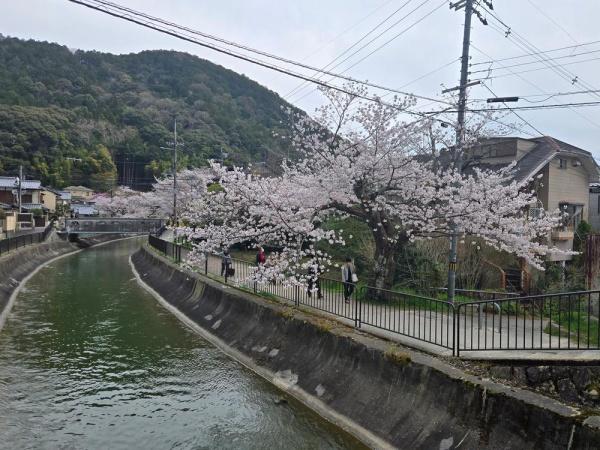 京都市山科区安朱馬場ノ西町の土地
