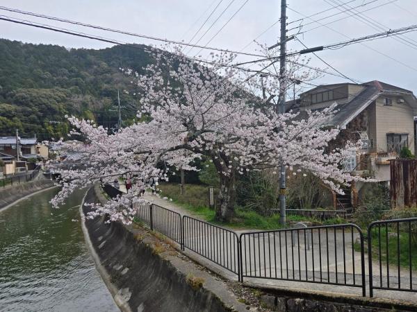 京都市山科区安朱馬場ノ西町の土地