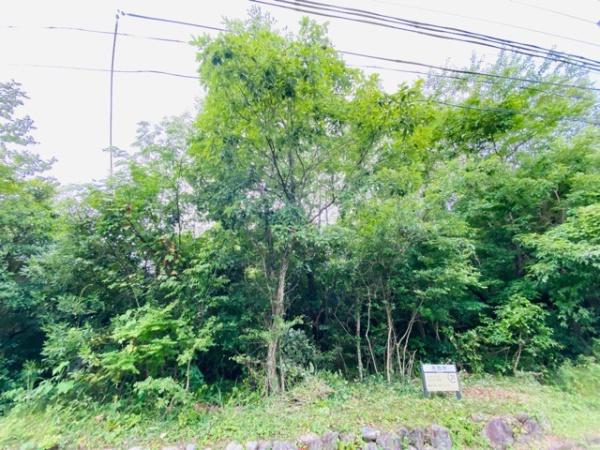 大津市南小松の土地