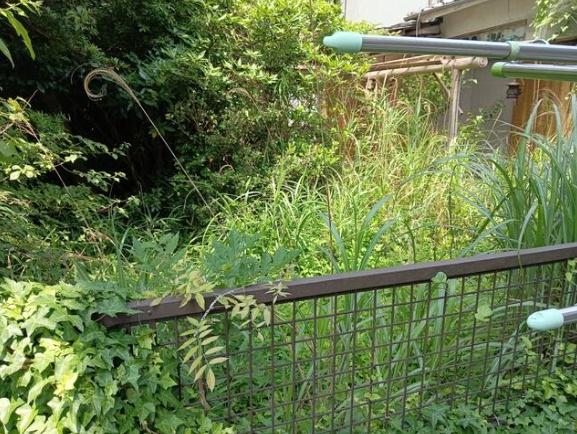 大津市比叡平１丁目の土地