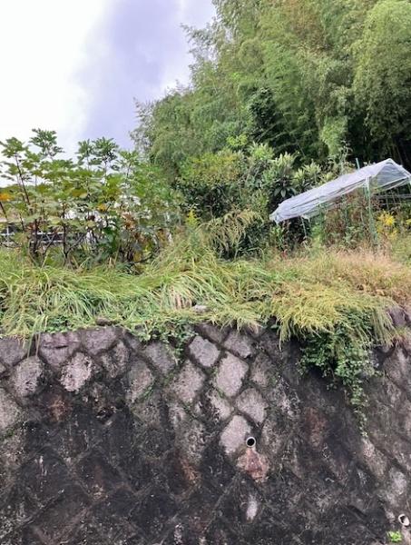 大津市苗鹿２丁目の土地