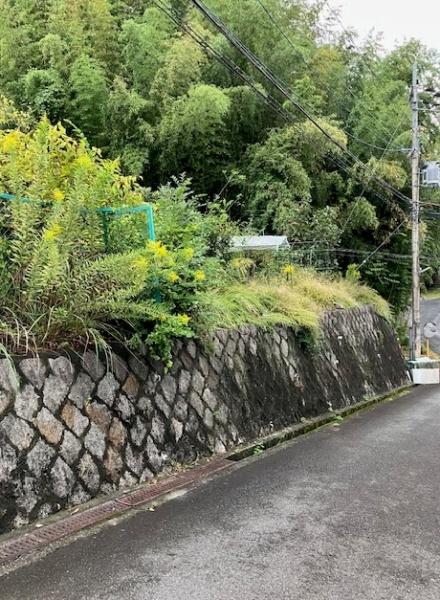 大津市苗鹿２丁目の土地