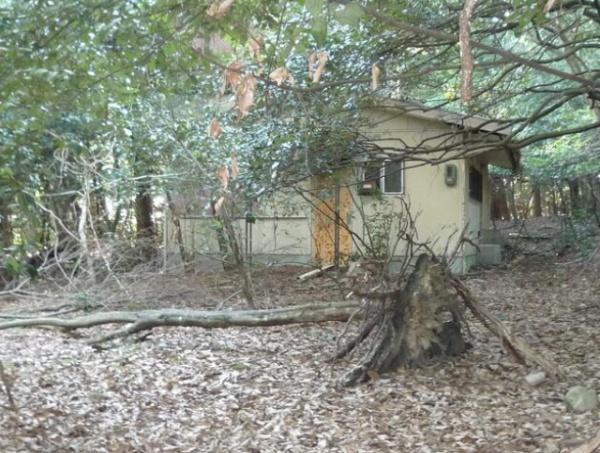 大津市北比良の土地(現地土地写真)