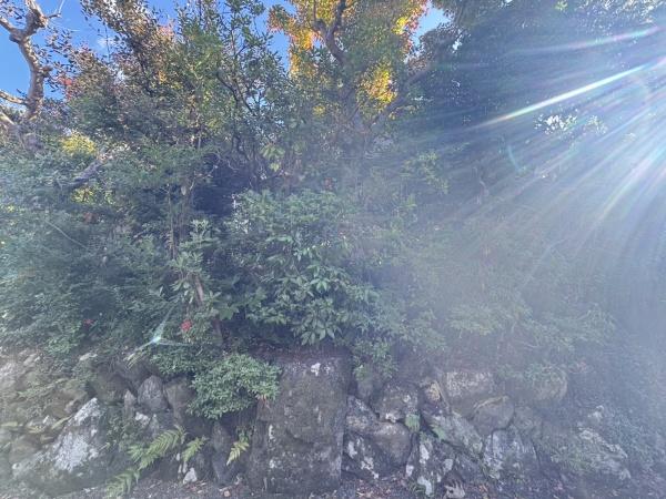 京都市右京区鳴滝音戸山町の土地