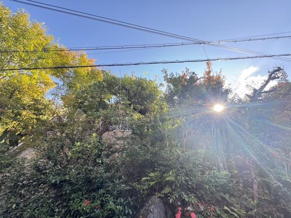 京都市右京区鳴滝音戸山町の土地