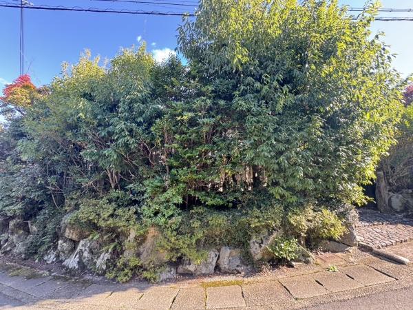 京都市右京区鳴滝音戸山町の土地