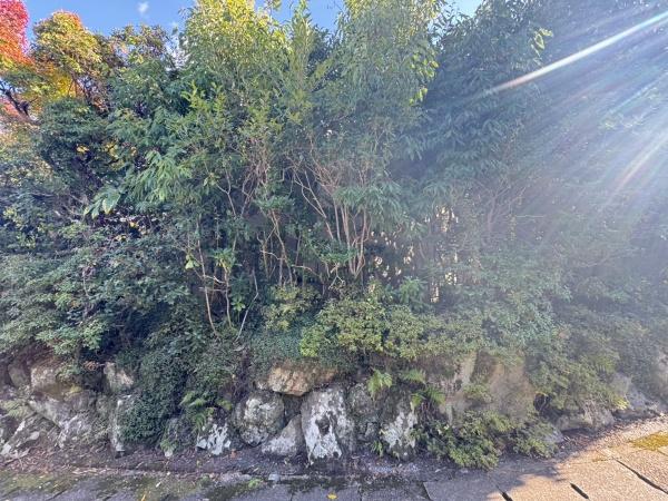 京都市右京区鳴滝音戸山町の土地