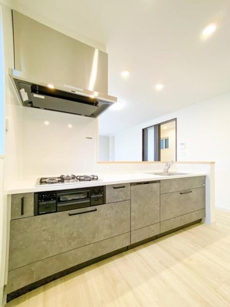 京都市山科区御陵血洗町の新築一戸建