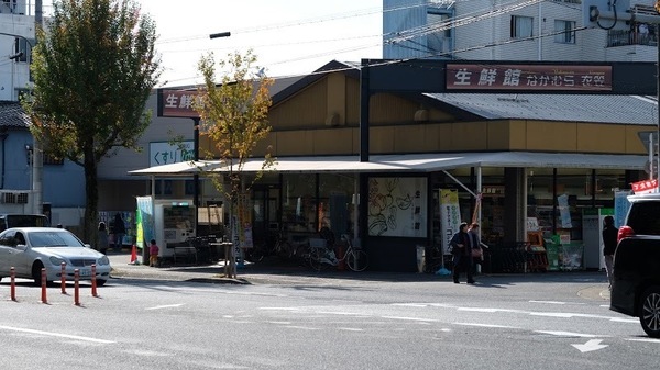 京都市右京区龍安寺池ノ下町の土地(生鮮館なかむら衣笠店)