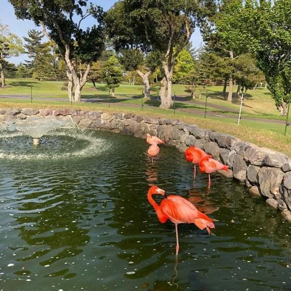 伊賀市島ヶ原不見上の土地(島ヶ原カントリークラブ)